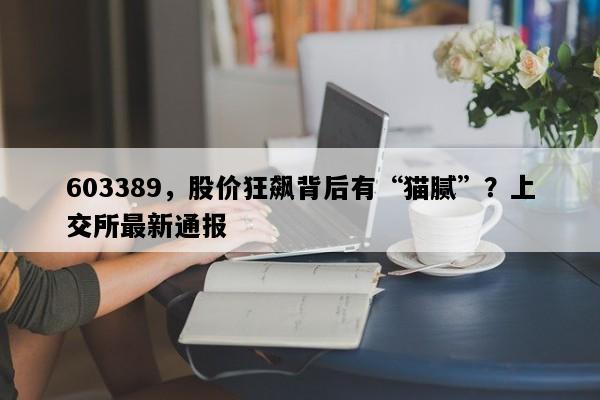 603389，股价狂飙背后有“猫腻”？上交所最新通报