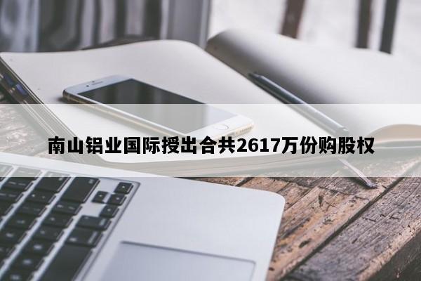 南山铝业国际授出合共2617万份购股权