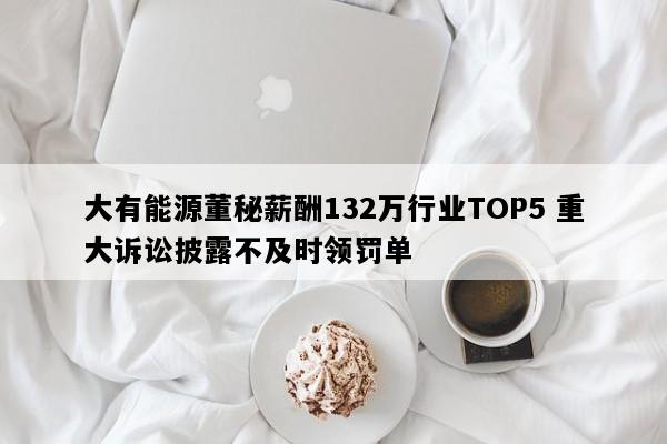 大有能源董秘薪酬132万行业TOP5 重大诉讼披露不及时领罚单