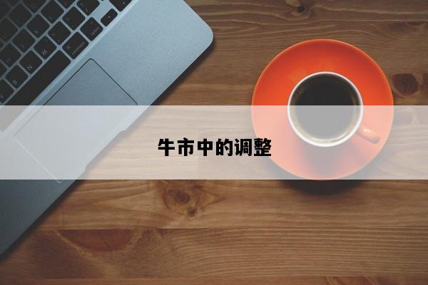 牛市中的调整