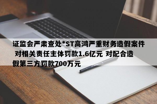 证监会严肃查处*ST高鸿严重财务造假案件 对相关责任主体罚款1.6亿元 对配合造假第三方罚款700万元