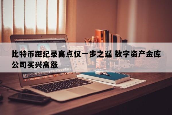 比特币距纪录高点仅一步之遥 数字资产金库公司买兴高涨
