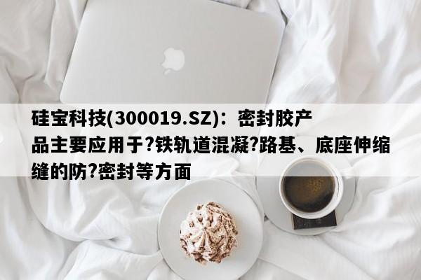 硅宝科技(300019.SZ)：密封胶产品主要应用于?铁轨道混凝?路基、底座伸缩缝的防?密封等方面