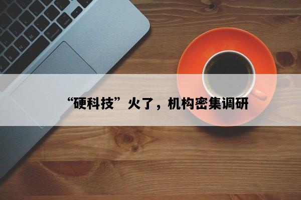 “硬科技”火了，机构密集调研