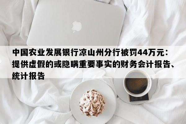 中国农业发展银行凉山州分行被罚44万元：提供虚假的或隐瞒重要事实的财务会计报告、统计报告