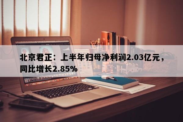 北京君正：上半年归母净利润2.03亿元，同比增长2.85%
