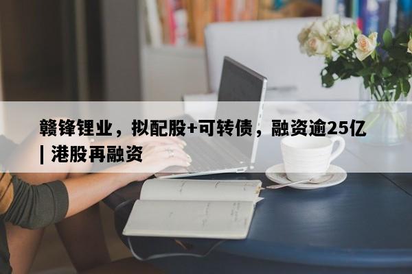 赣锋锂业，拟配股+可转债，融资逾25亿 | 港股再融资