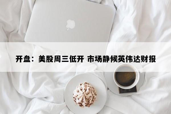 开盘：美股周三低开 市场静候英伟达财报
