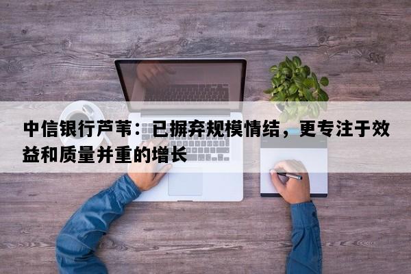 中信银行芦苇：已摒弃规模情结，更专注于效益和质量并重的增长
