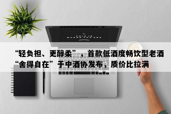 “轻负担、更醇柔”，首款低酒度畅饮型老酒“舍得自在”于中酒协发布，质价比拉满
