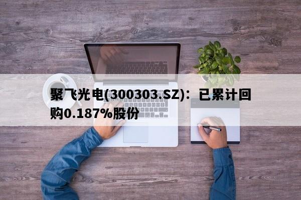 聚飞光电(300303.SZ)：已累计回购0.187%股份
