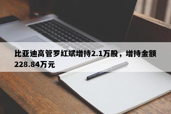 比亚迪高管罗红斌增持2.1万股，增持金额228.84万元